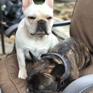 Meet your Posher, Leif